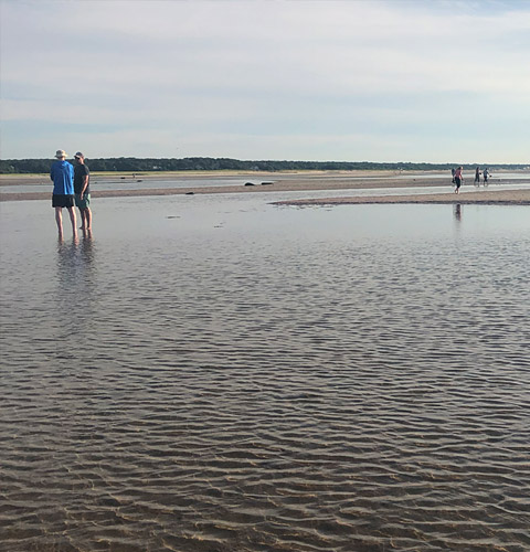 Visitors to Skaket Beach can wander out at low tide and explore the tide pools in search of shells and marine life.